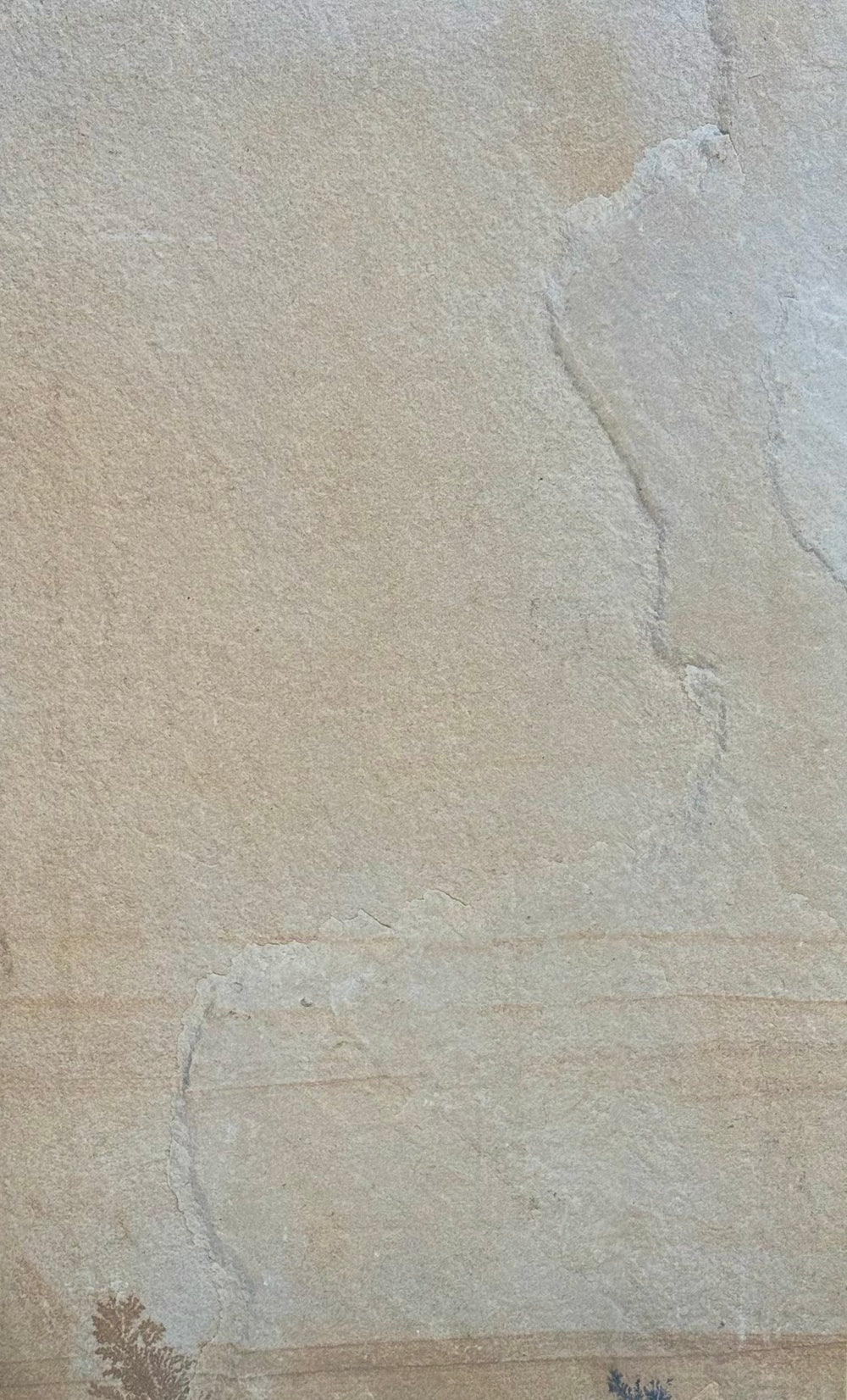 Rocca Fossil 1200x600