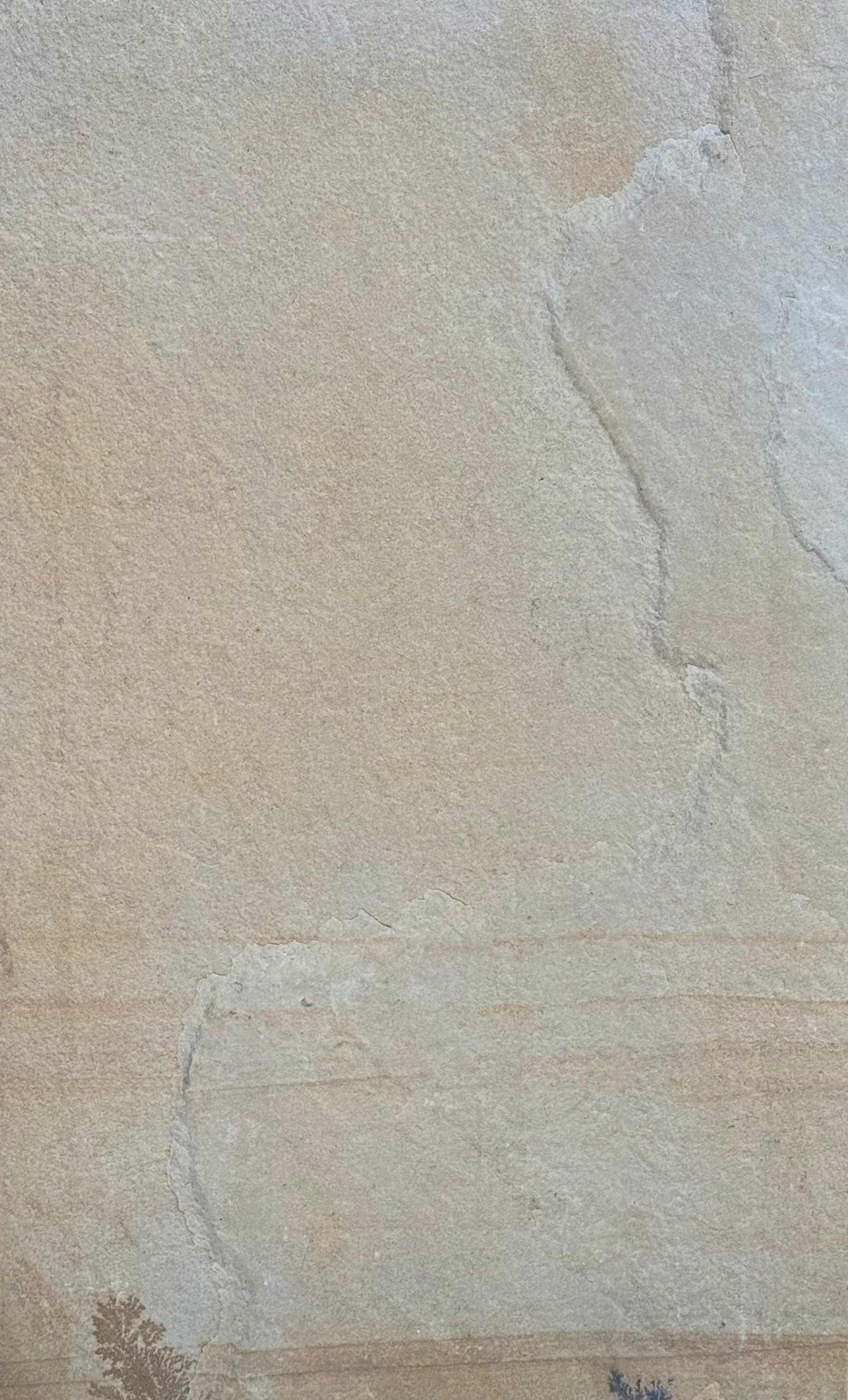 Rocca Fossil 1200x600