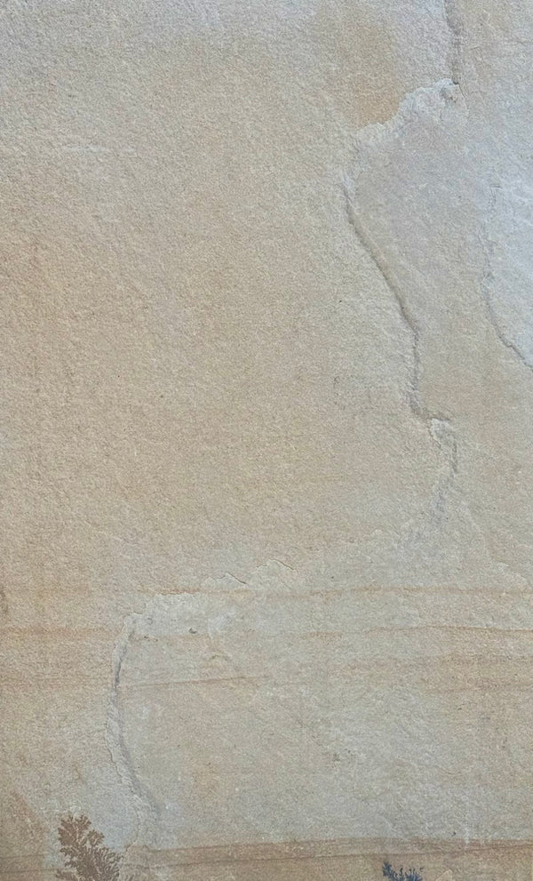 Rocca Fossil 1200x600